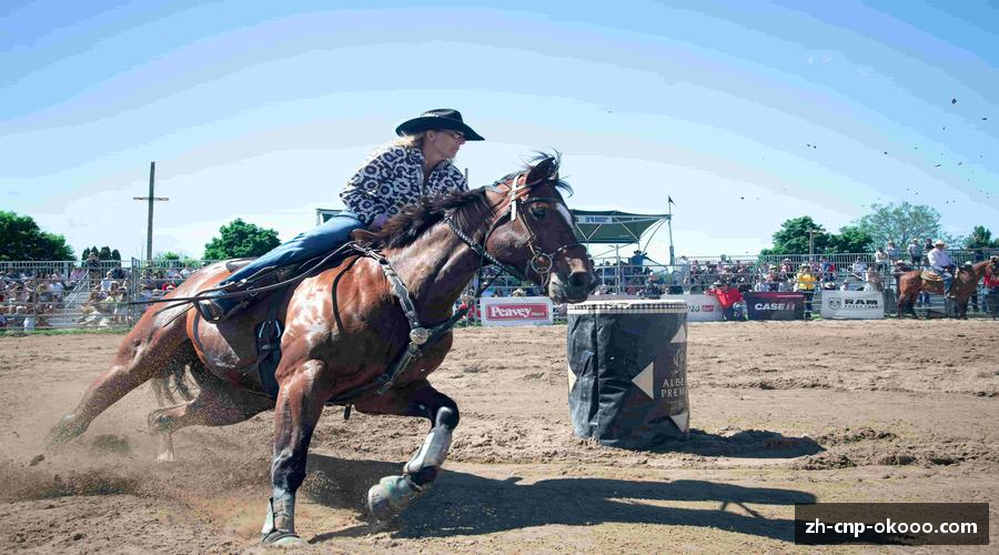 拼搏进取，不断超越自我。